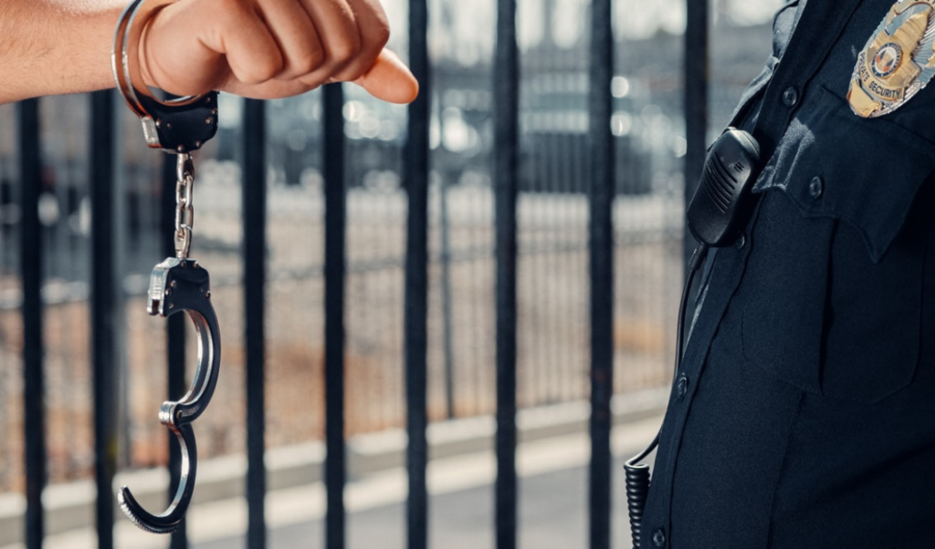 Parole and probation lookup inmate